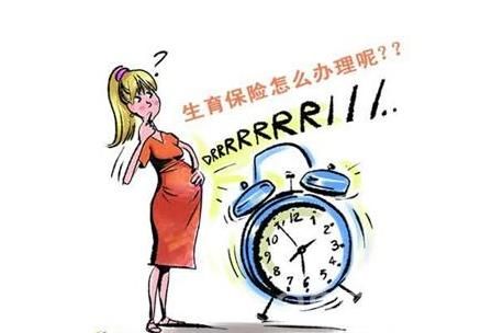 生育保險(xiǎn)報(bào)銷比例是多少？ 第1張
