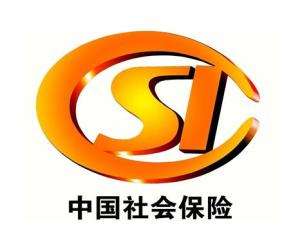 保險(xiǎn)監(jiān)管是什么意思？ 第1張