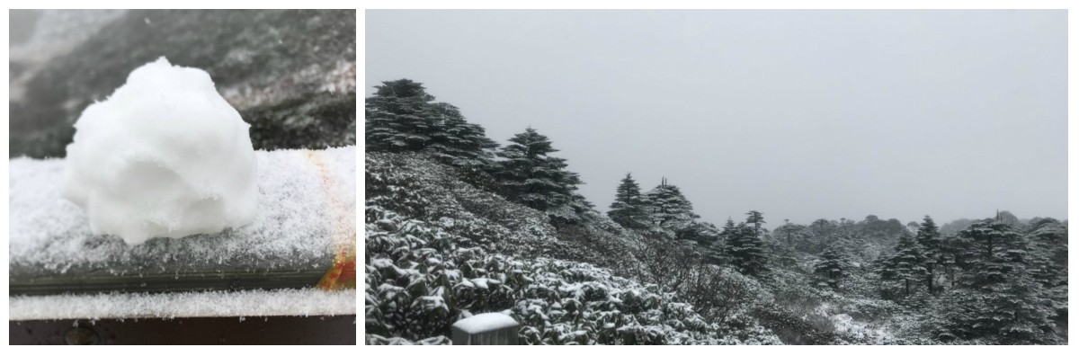 風(fēng)花雪月瑞方情，萬水千山大理行 第6張