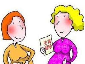 生育保險怎么購買？ 第1張