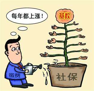 個人和單位繳納的社保，待遇會有什么區(qū)別？ 第1張