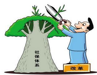 個人繳納社保和公司繳納的社保有何不同？ 第1張