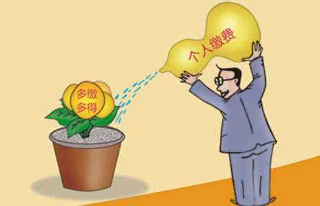 個(gè)人繳社保需要多少？應(yīng)該如何繳納？ 第1張