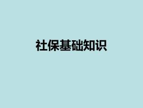 社?；A(chǔ)知識 第1張