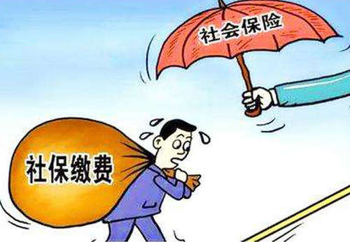 個人交社保怎么交？ 第1張
