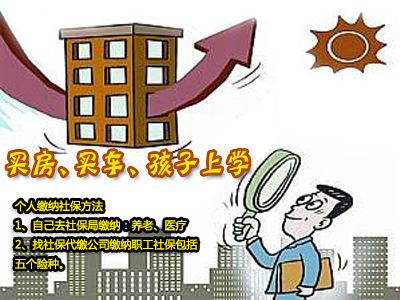 自己個(gè)人如何繳納社保？ 第1張