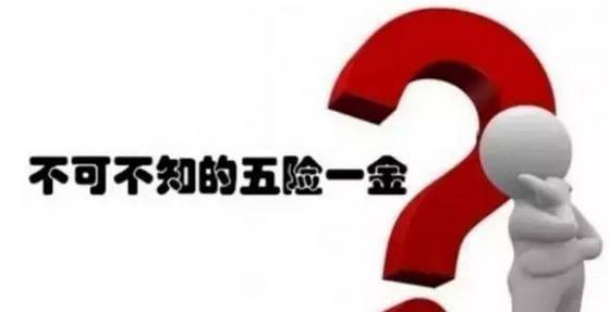 五險一金好還是社保好？ 第1張