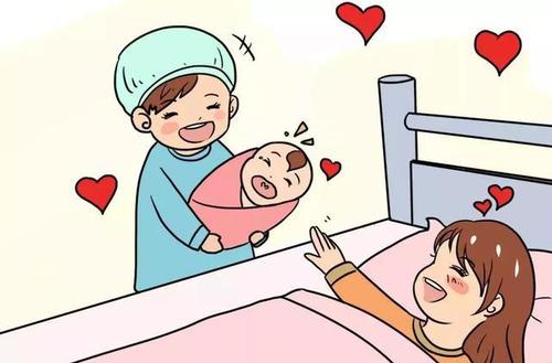 生育保險如何繳？怎么報？ 第1張